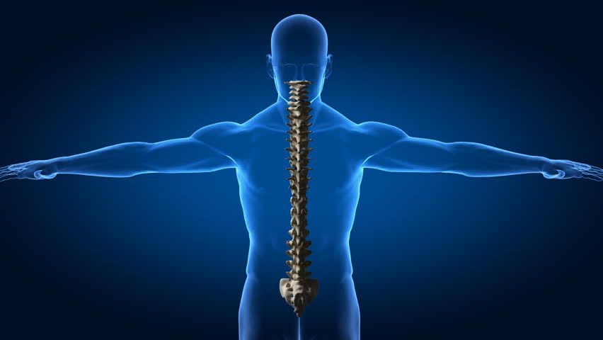 Human spine with spinal plates rotation in x-ray view - similar footage in my portfolio