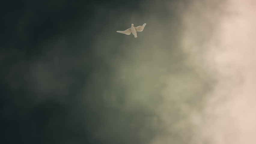 White Dove Descending Among Light Rays