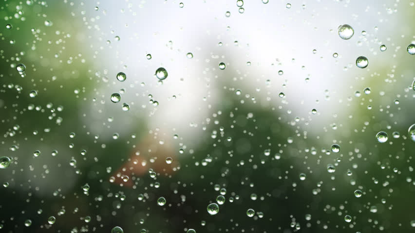 Beautiful rain drops fall in slow motion. Loop