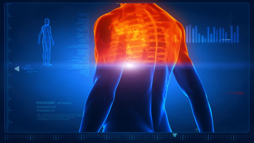 Human scan in loop 4- chest and back parts