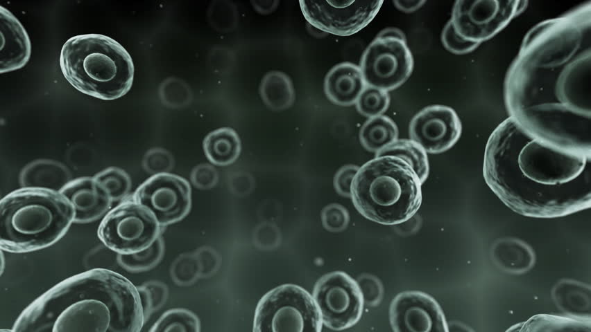 Virus Cell image.