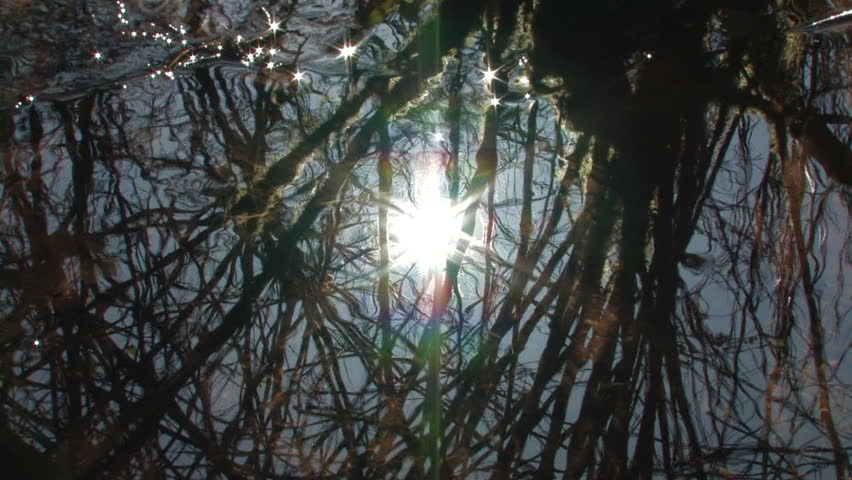 Sun reflexion in water.