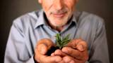 Happy mature man holding a little growing green plant