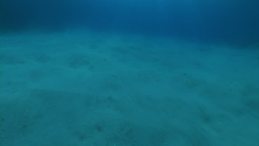Sunlight reflected on ocean floor