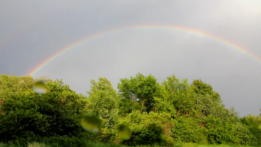Rainbow over forest