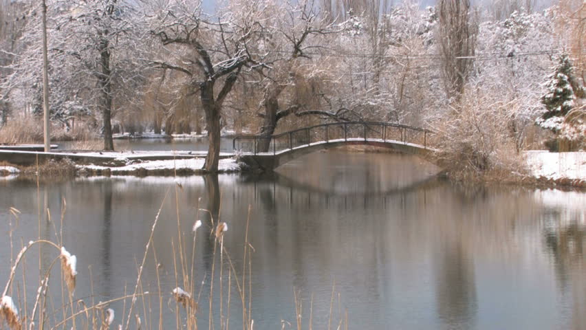 HD Bare winter trees with frozen twigs and empty bridge in city park, Canon XH A1, FullHD video, 1080p, 25fps, progressive scan 