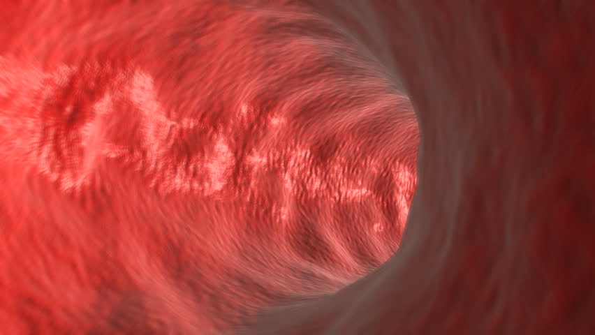 Flight through artery