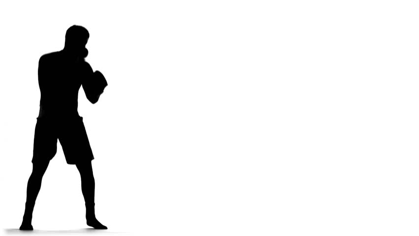 Silhouette of Boxer
