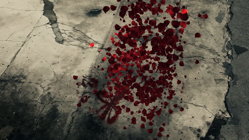 Turning object from rose leafs floating over obsolete stone ground / HD1080 / 30fps