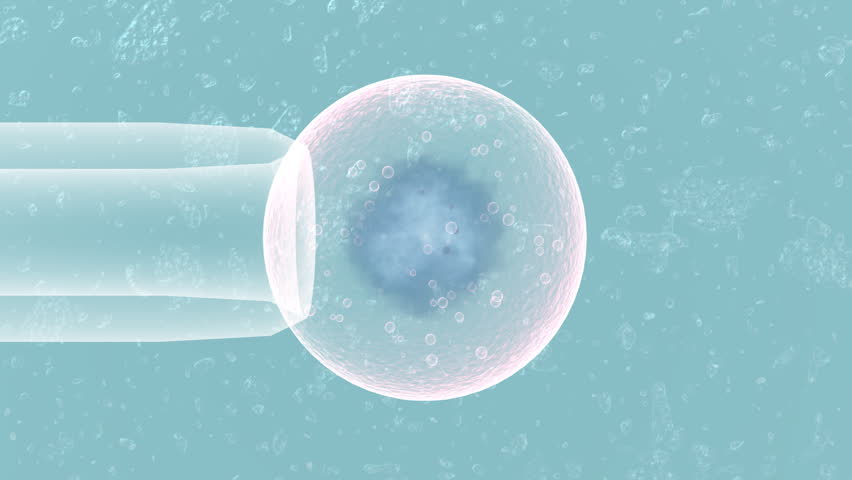 cell being injected