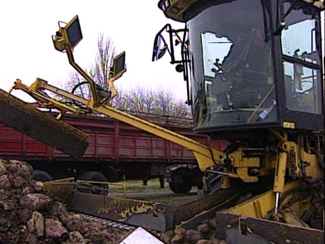 Self-propelled machine for cleaning and loading of sugar beets.