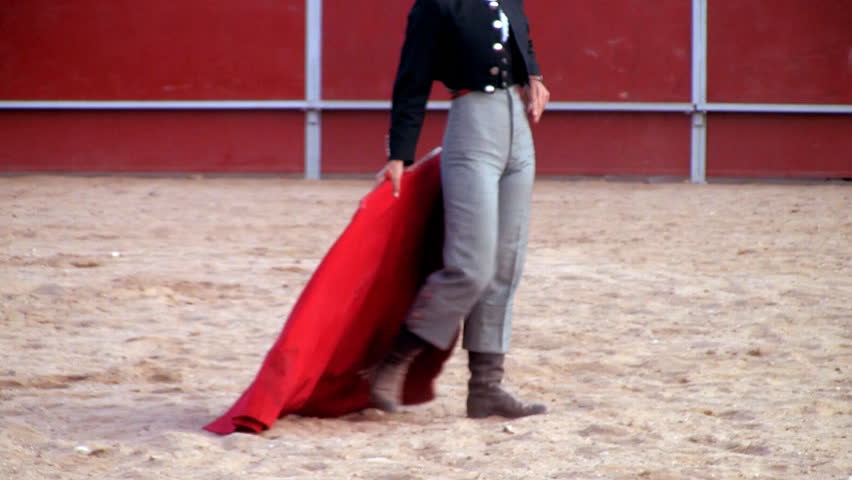 Bullfight