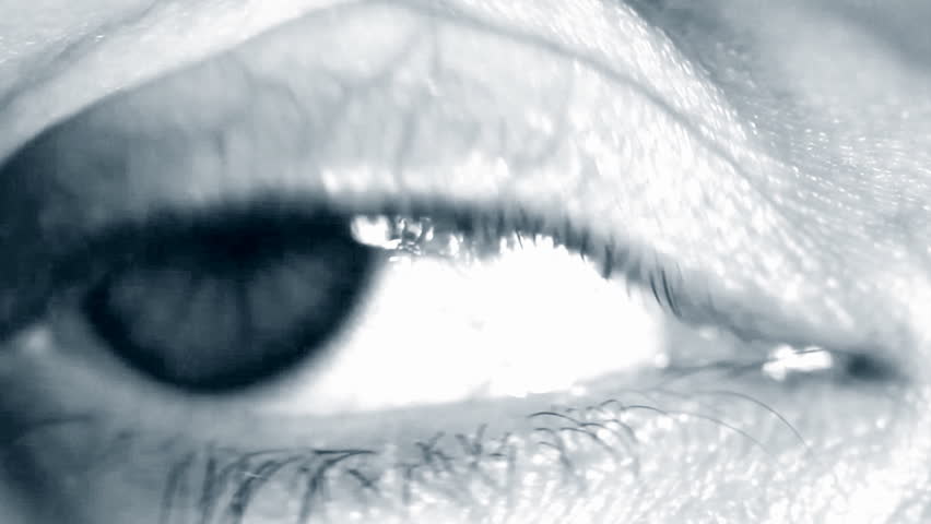 Human eye. Close up 