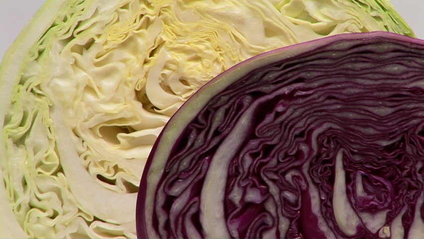 Cabbage