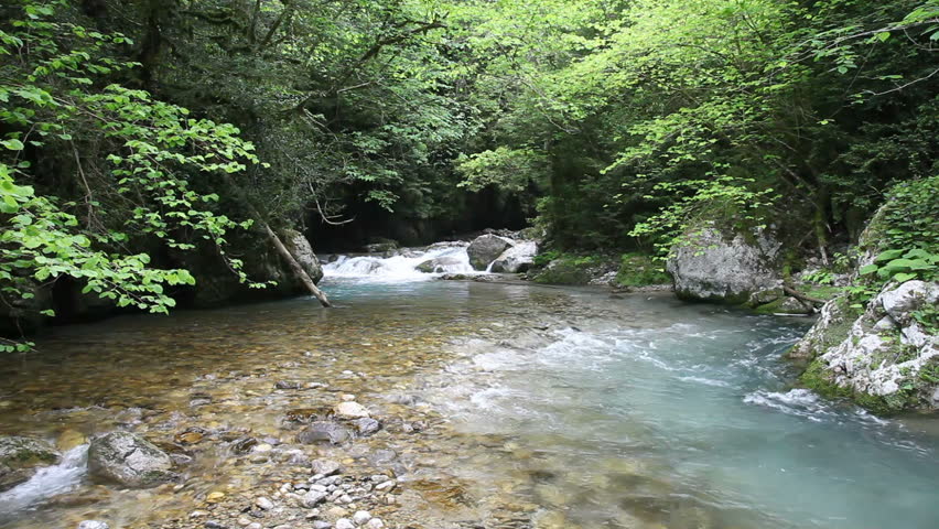 mountain river in forest