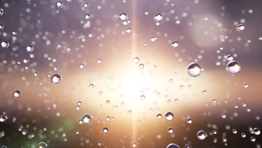Beautiful rain drops frozen in time. Great For Background. Loop