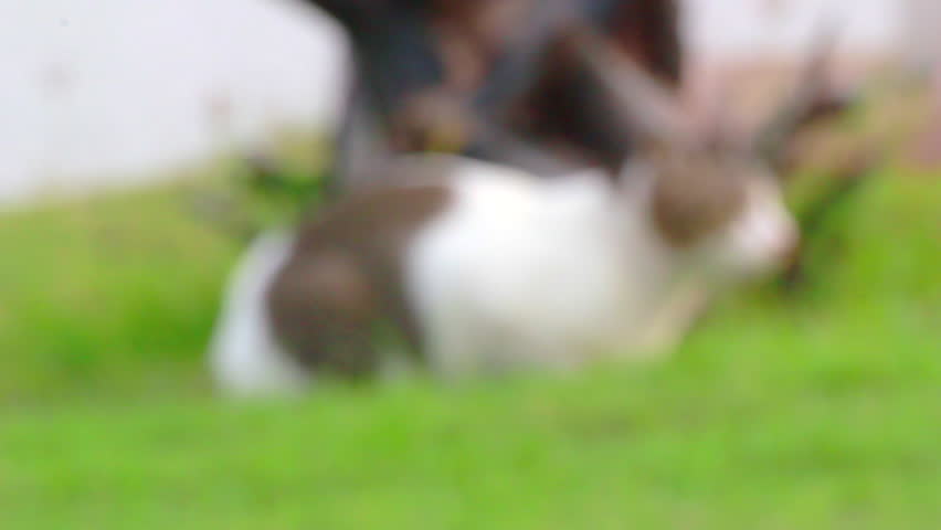 Header of marvel