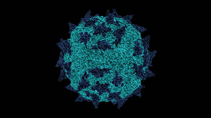 B молекула вируса. Коронавирус рнк вирус. Молекула вич. Молекула гриппа. Вирус covid-19.