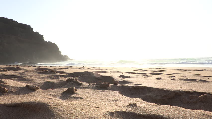 Header of playa