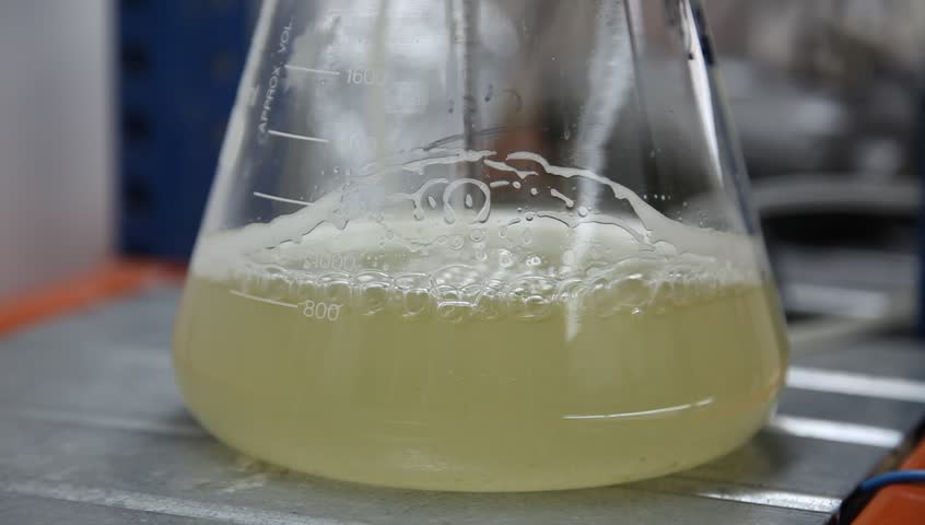 Header of limnological
