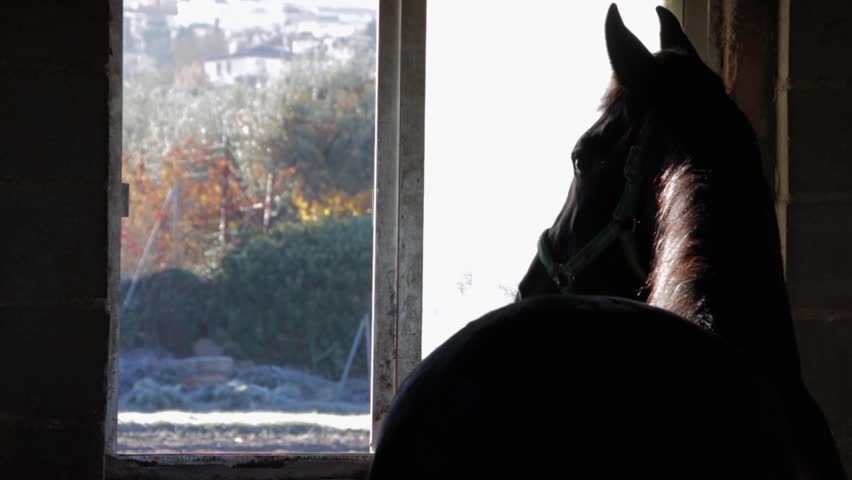 Header of stable