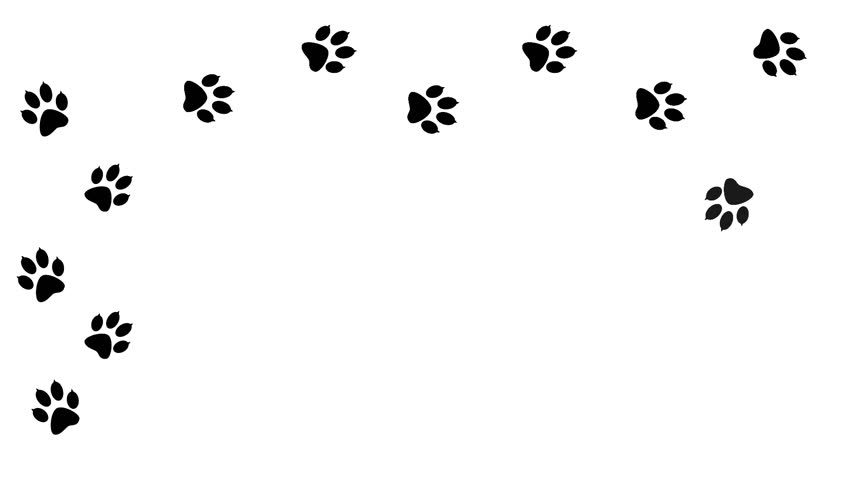 Dog Paw Print Stock Footage Video | Shutterstock