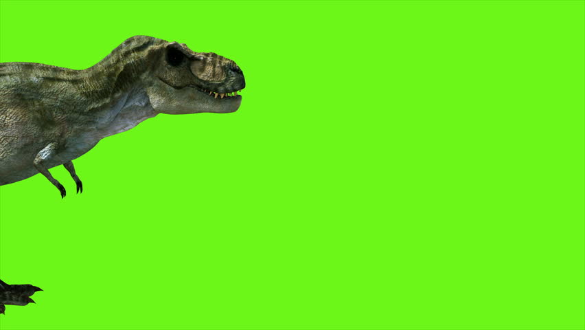 T Rex Stock Video Footage - 4K and HD Video Clips | Shutterstock