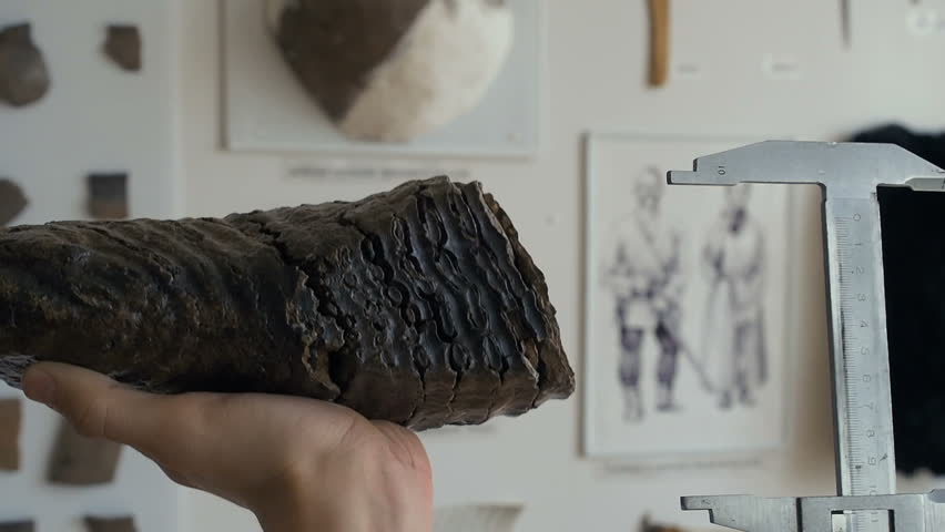 Header of archaeology