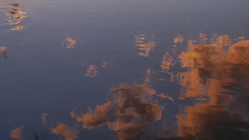 Header of seem