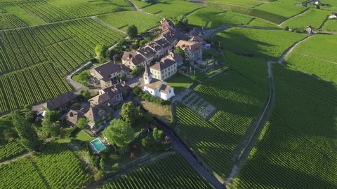 4K ungraded Aerial footage of Vineyard fields between Lausanne and Geneva in Switzerland -UHD