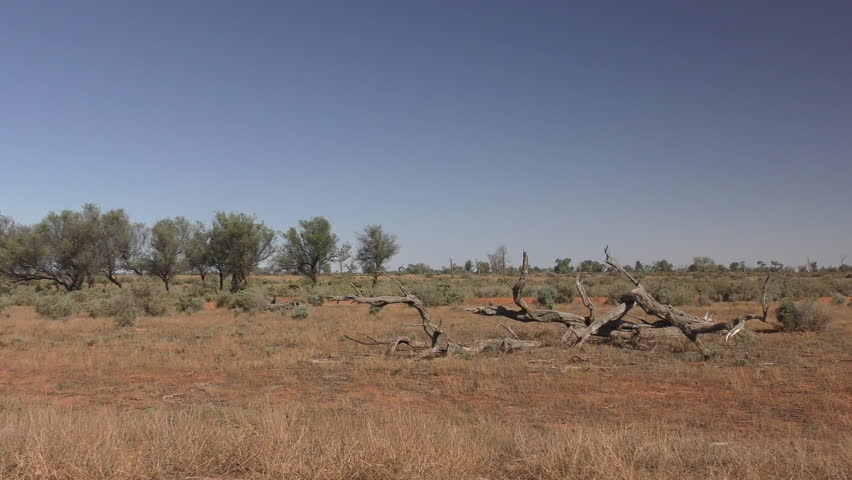 Arid landscape in New South Wales, Australia image - Free stock photo ...