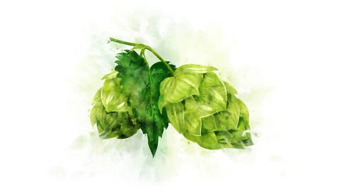 ホップ イラスト イラスト素材