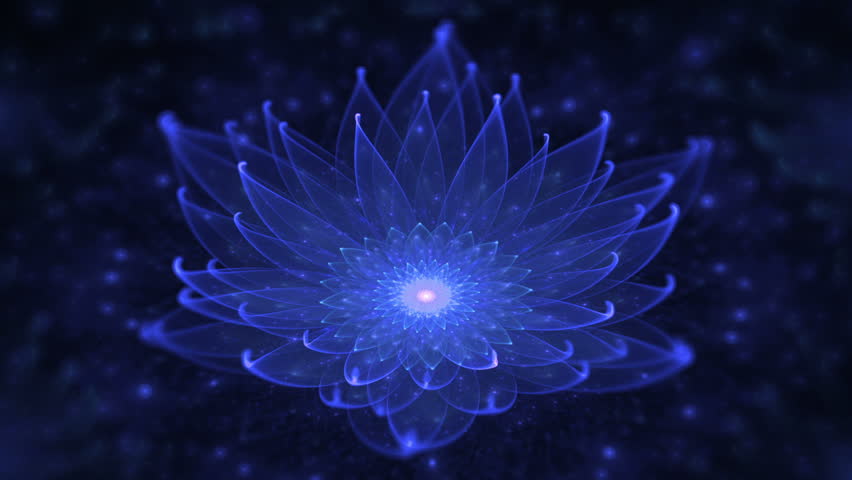 Glowing Blue Lotus, Water Lily, Stock Footage Video (100% Royalty-free ...