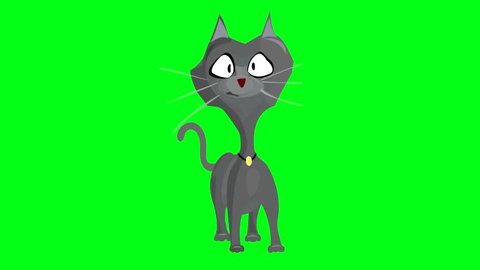 Cat Dancing Halloween Holidayusing Green Backgroundanimated Stock Footage  Video (100% Royalty-free) 1018363870 | Shutterstock