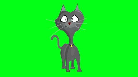 Cat Dancing Halloween Holidayusing Green Backgroundanimated Stock Footage Video (100% Royalty-free) 1018363870 | Shutterstock Cat Dancing Halloween Holidayusing Green Backgroundanimated Stock Footage Video (100% Royalty-free) 1018363870 | Shutterstock