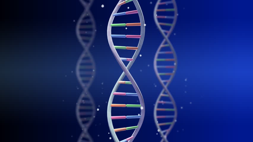 Futuristic Rotating Blue DNA Strand. Genetic Engineering Scientific ...