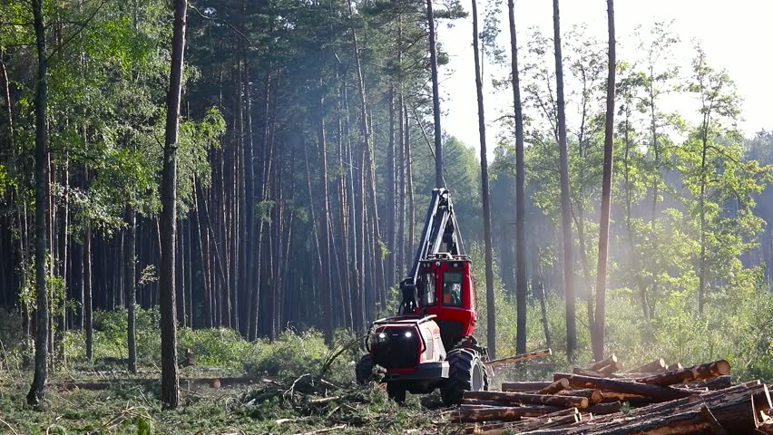 logging logger workflow equipment for stock footage video 100 royalty free 1026143360 shutterstock logger equipment