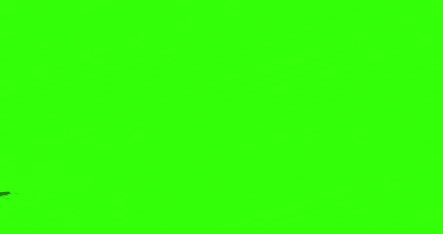 4k green screen video