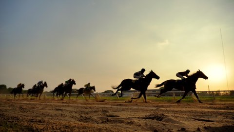 Horse Stock Video Footage 4k And Hd Video Clips Shutterstock