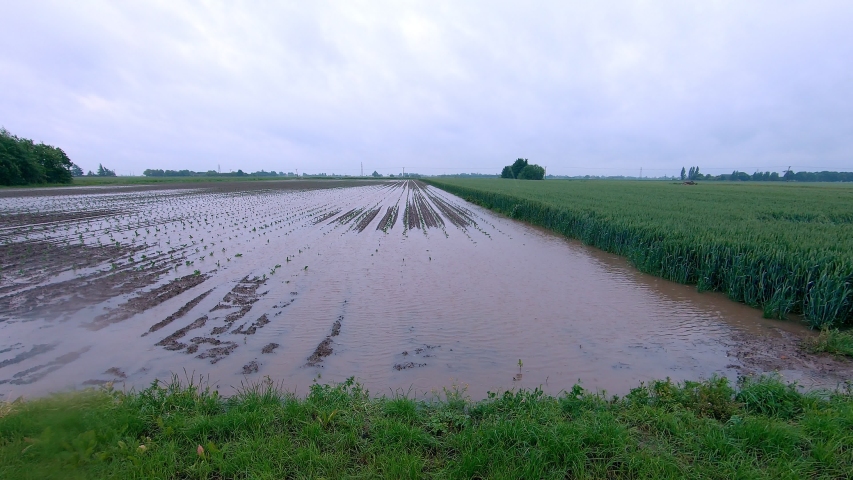 Flood field