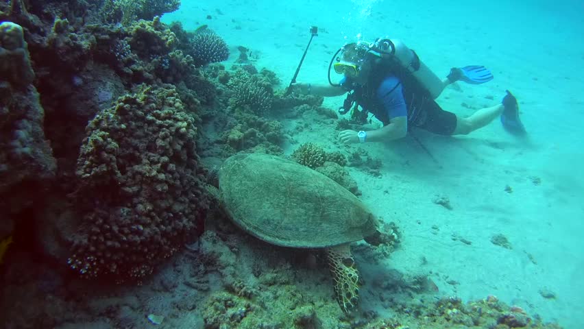 Scuba Diving Cocoa Beach Fl The Best Beaches In World Scuba Diving Cocoa Beach Florida The Best Beaches In World