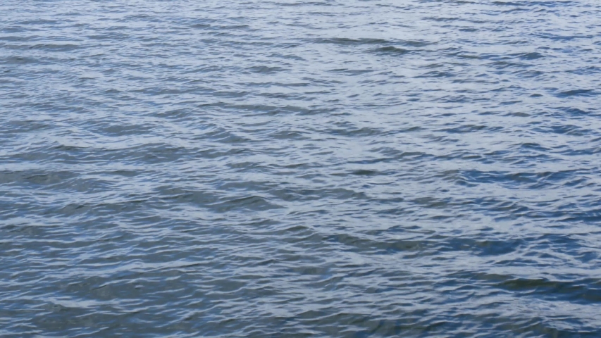 Lake and Ripples in the water in river image - Free stock photo ...