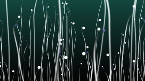 3d Family Sex - Abstract dot and line or sperm swimming animation 3d rendering