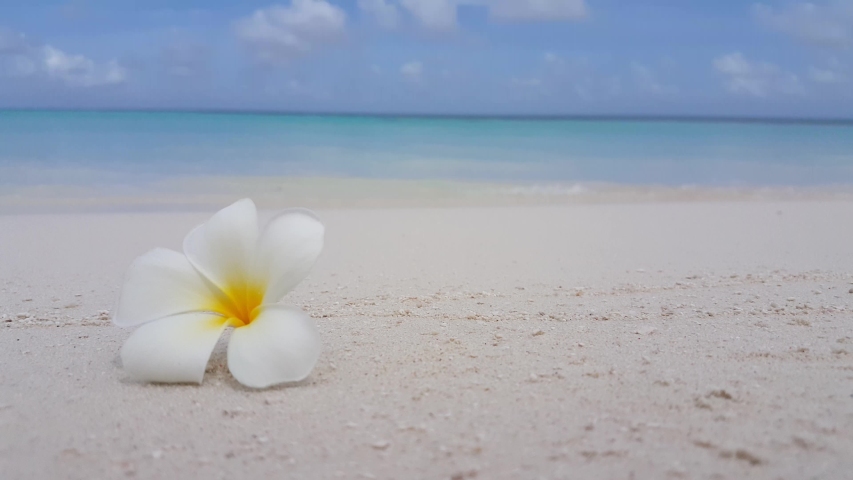 Seaside and beach landscape under the sky and clouds image - Free stock ...