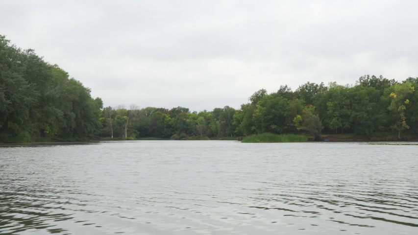 Side of the lake with reeds and trees image - Free stock photo - Public ...