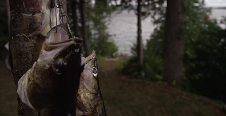 Header of stringer