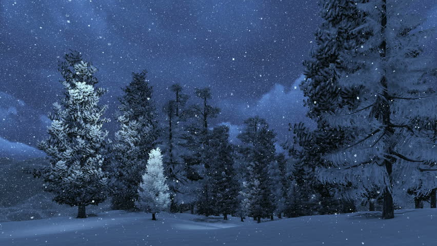 Stars Twinkle In The Night Sky,snow Fall In Winter, Trees Shake In Wind ...