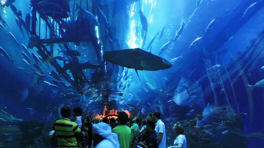 DUBAI, UNITED ARAB EMIRATES - SEPTEMBER, 2015: Oceanarium In Dubai Mall ...