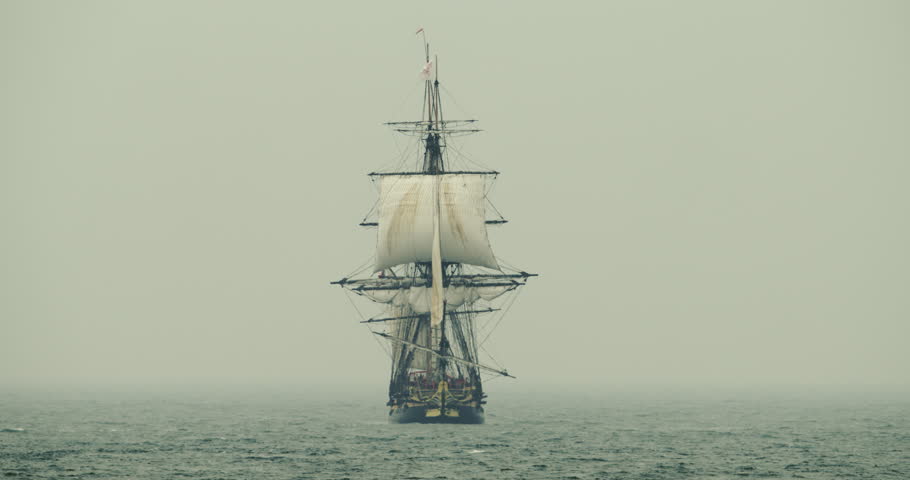 Header of navy