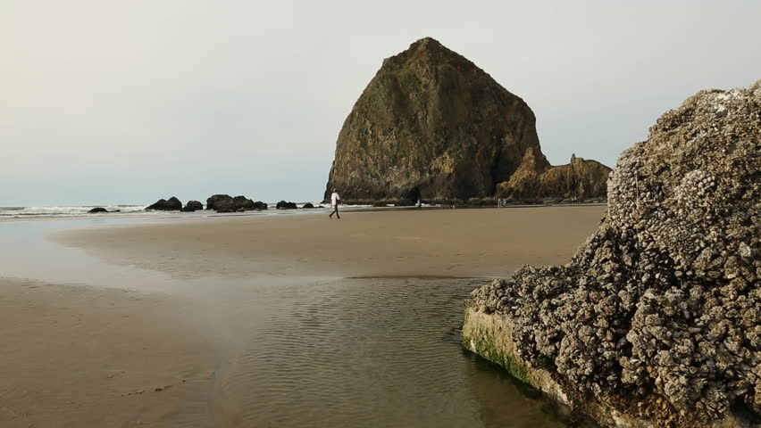 cannon beach hindu single men Cannon beach's best 100% free online dating site meet loads of available single women in cannon beach with mingle2's cannon beach dating services find a. cannon beach hindu single men Cannon beach's best 100% free online dating site meet loads of available single women in cannon beach with mingle2's cannon beach dating services find a.